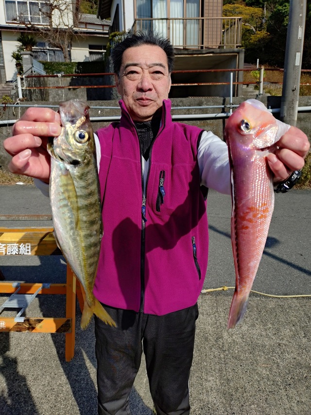 アジ(マアジ)・アマダイ(アカアマダイ)