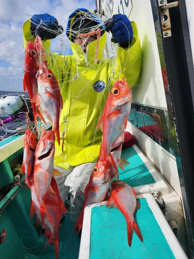 キンメ(キンメダイ)