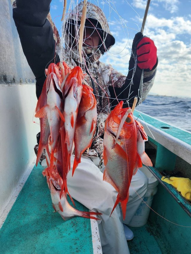 キンメ(キンメダイ)