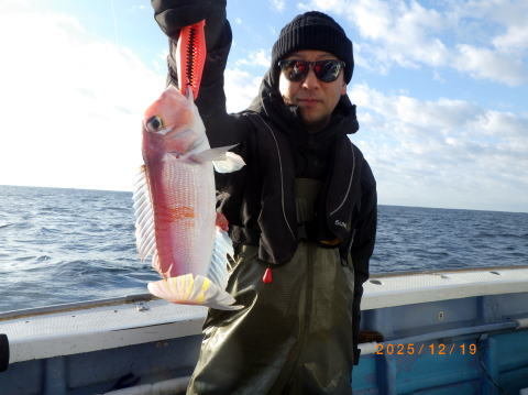 アマダイ(アカアマダイ)