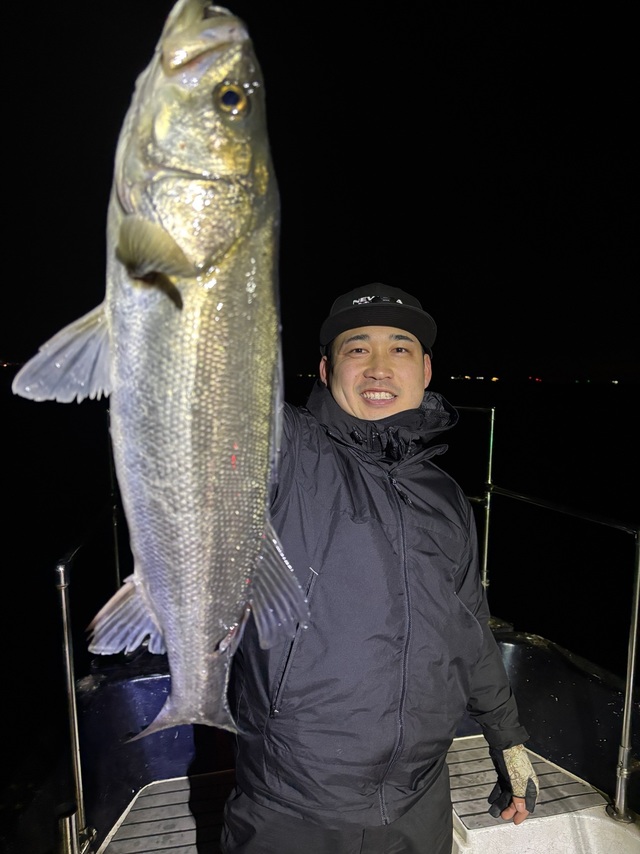 シーバス(スズキ)