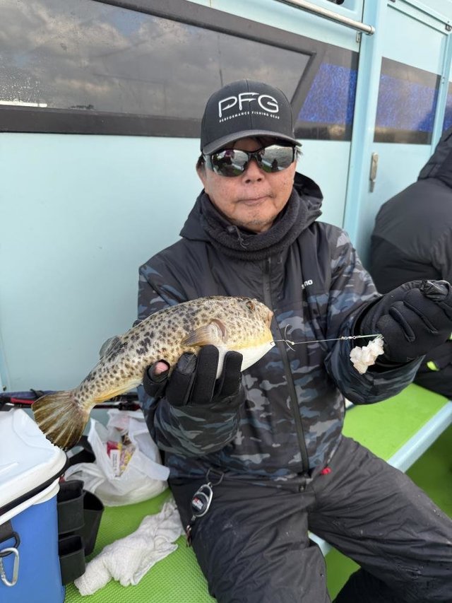 フグ(アカメフグ)