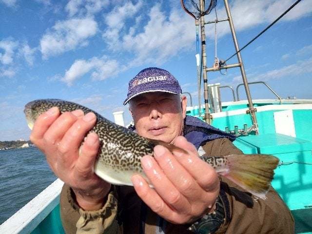 ショウサイフグ