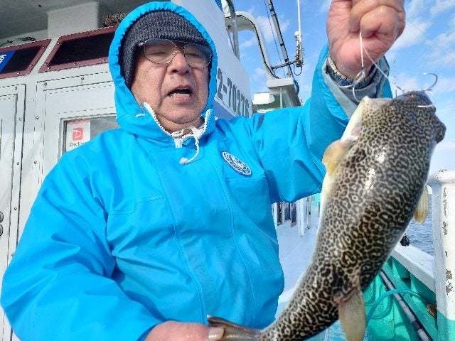 ショウサイフグ