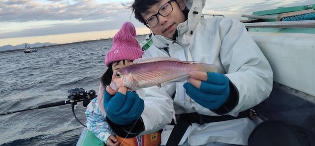 アマダイ(アカアマダイ)