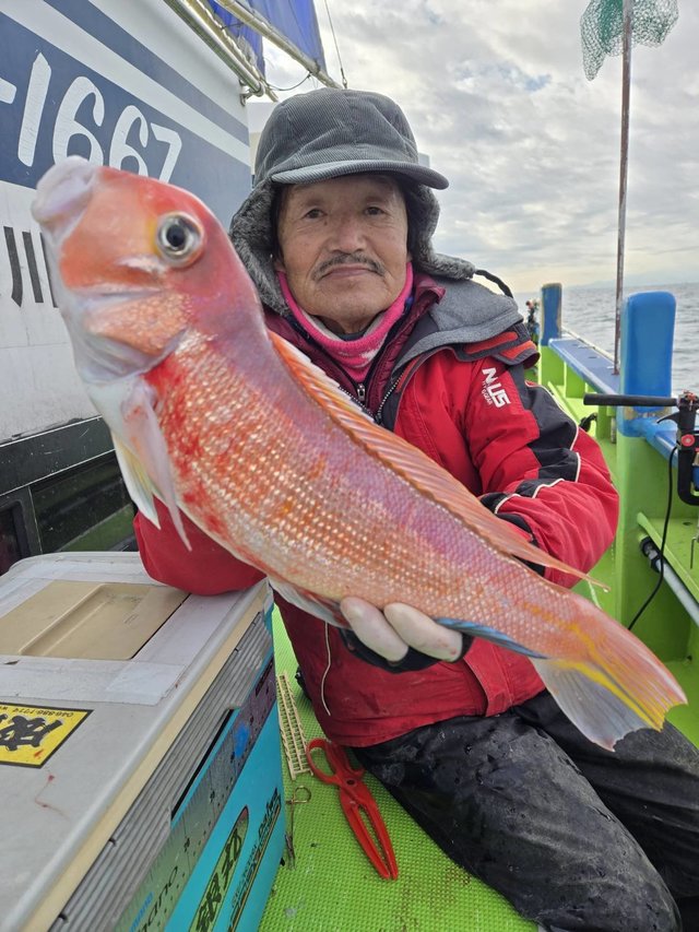 アマダイ(アカアマダイ)