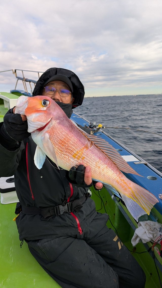 アマダイ(アカアマダイ)