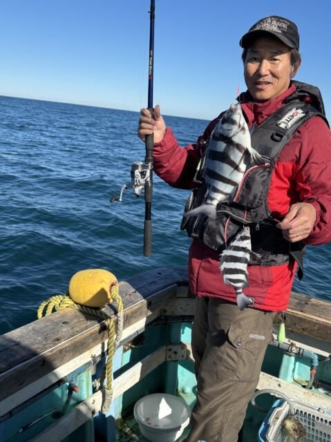 サンバソウ(イシダイ)