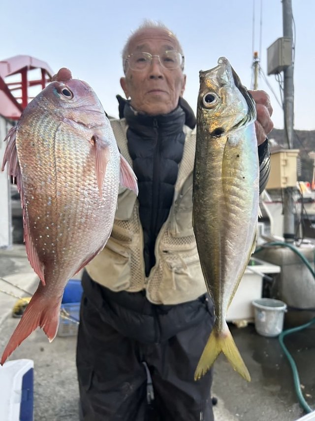 マダイ・アジ(マアジ)