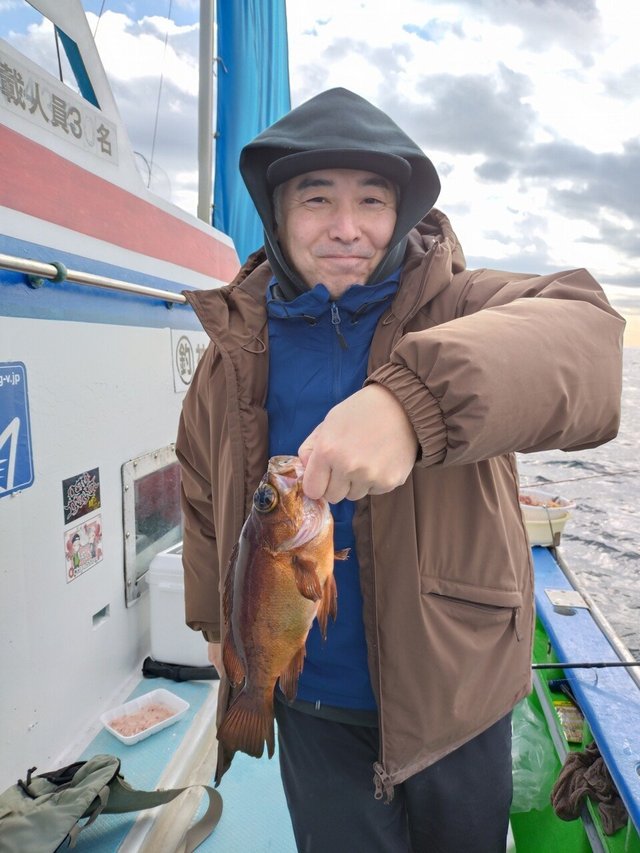 クロメバル(メバル)