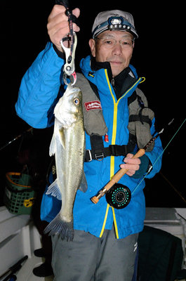 シーバス(スズキ)