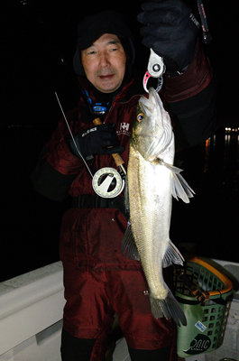 シーバス(スズキ)