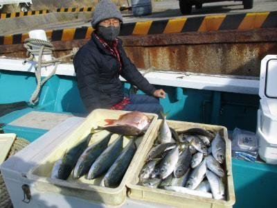 マダイ・アジ(マアジ)・ハマチ(ブリ)・イサギ(イサキ)