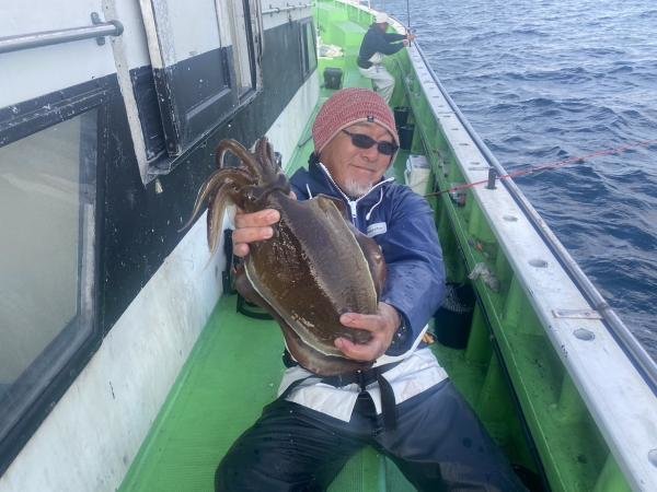 モンゴウ(カミナリイカ)