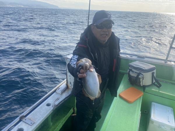 モンゴウ(カミナリイカ)