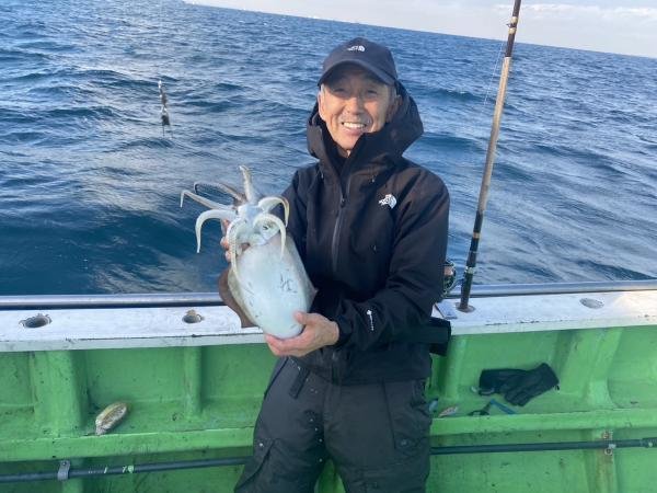 モンゴウ(カミナリイカ)