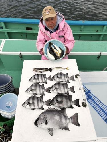 イシダイ・アジ(マアジ)・メバル・フグ(ショウサイフグ)