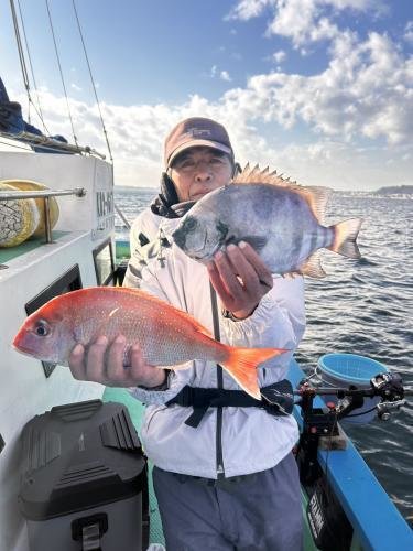 マダイ・イシダイ