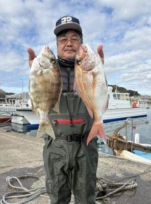 マダイ・メイチダイ
