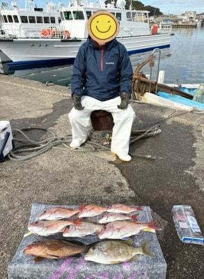 マダイ・オオモンハタ・メイチダイ