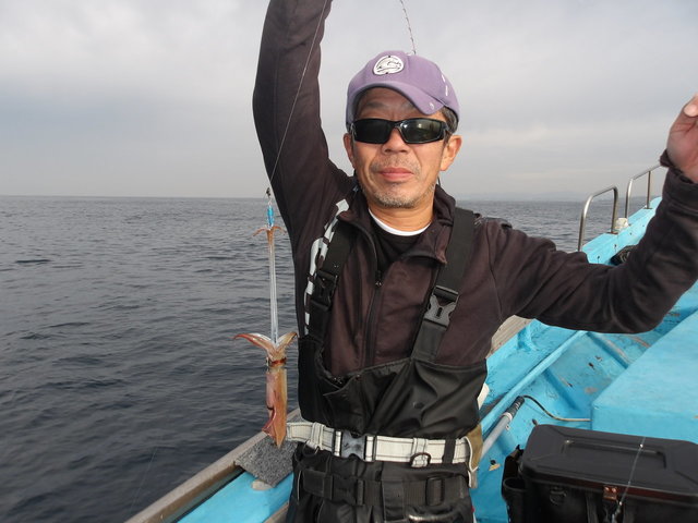 マルイカ(ケンサキイカ)