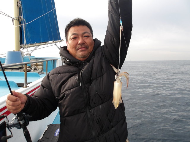 マルイカ(ケンサキイカ)