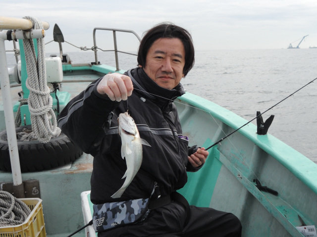 イシモチ(シログチ)