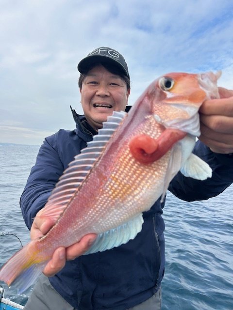 アマダイ(アカアマダイ)