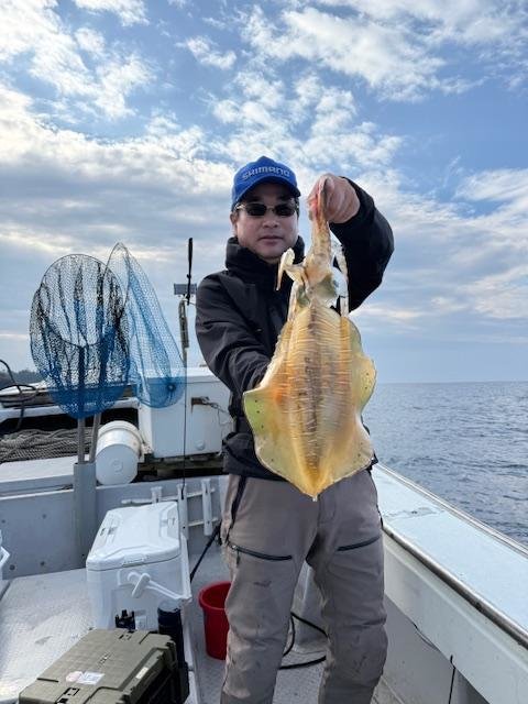 イカ(アオリイカ)