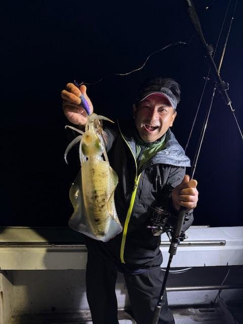 イカ(アオリイカ)