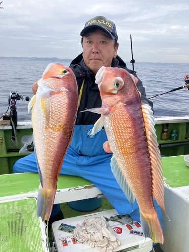 アマダイ(アカアマダイ)