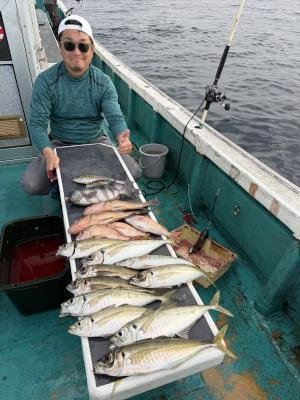マダイ・オオモンハタ・アジ(マアジ)