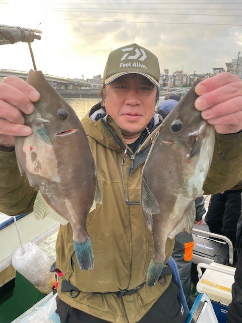 ウマヅラ(ウマヅラハギ)