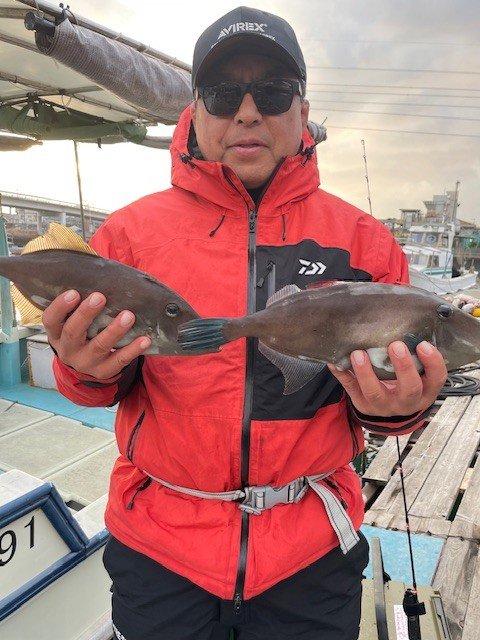 ウマヅラ(ウマヅラハギ)