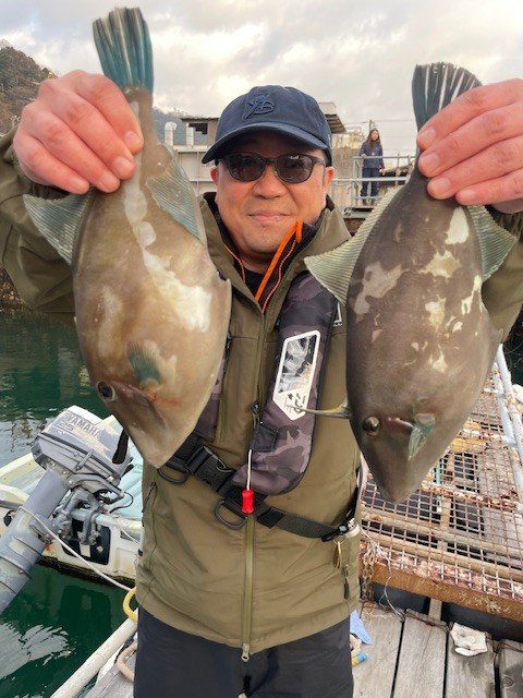 ウマヅラ(ウマヅラハギ)