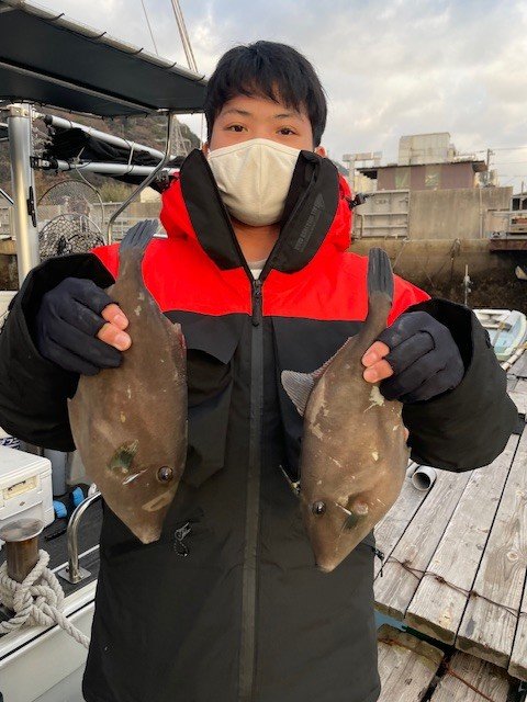 ウマヅラ(ウマヅラハギ)