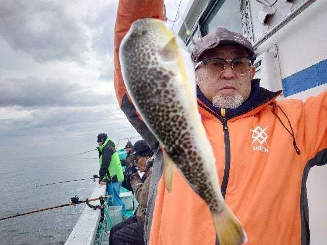 ショウサイフグ