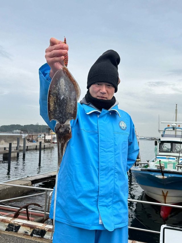 モンゴウイカ(カミナリイカ)