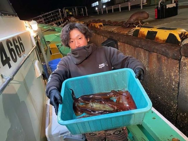 マルイカ(ケンサキイカ)・スルメ(スルメイカ)