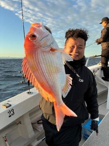 レンコダイ(キダイ)