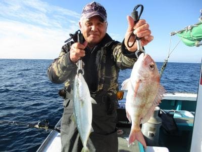 マダイ・ハマチ(ブリ)