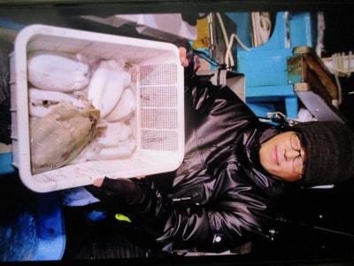 モンゴウイカ(カミナリイカ)