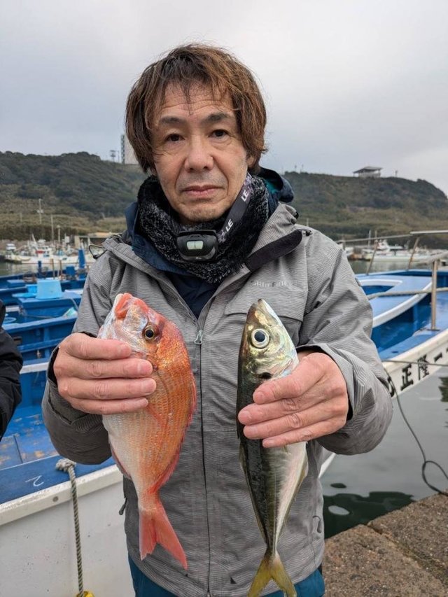 ハナダイ(チダイ)・アジ(マアジ)