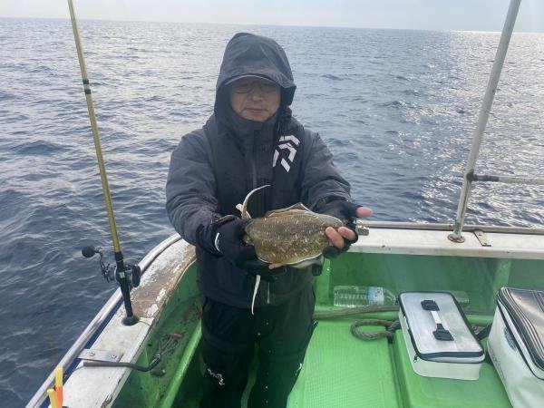 モンゴウ(カミナリイカ)