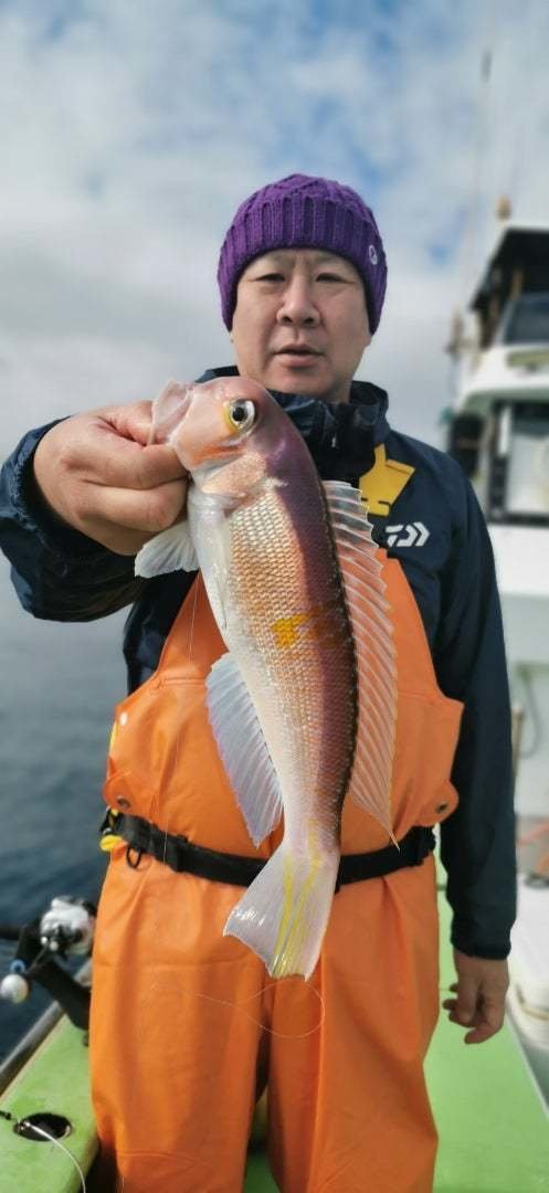 アマダイ(アカアマダイ)