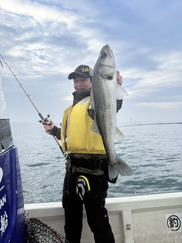 シーバス(スズキ)