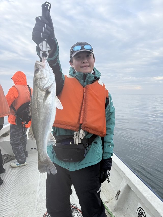 シーバス(スズキ)