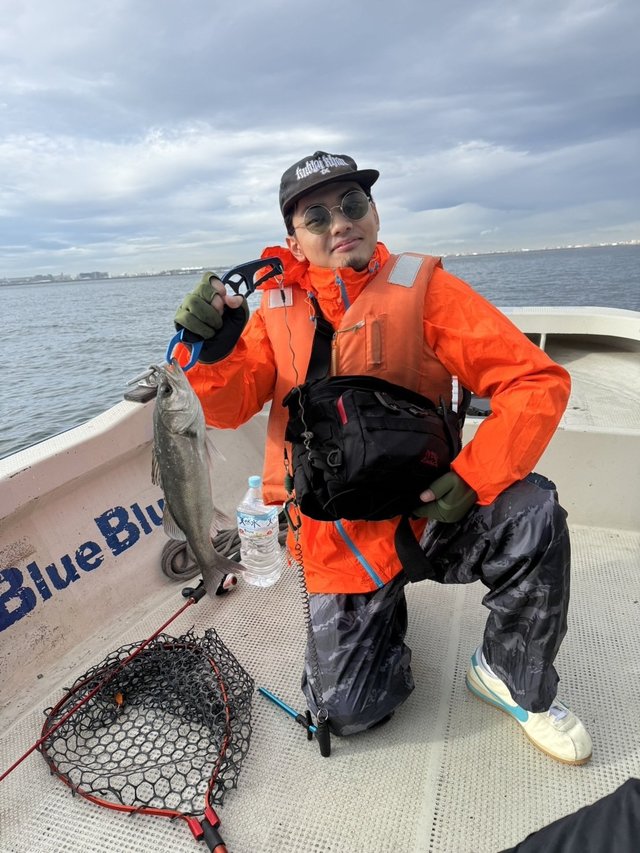 シーバス(スズキ)