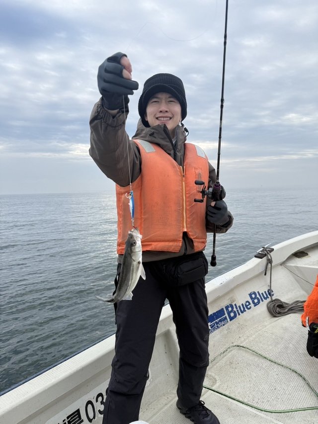 シーバス(スズキ)