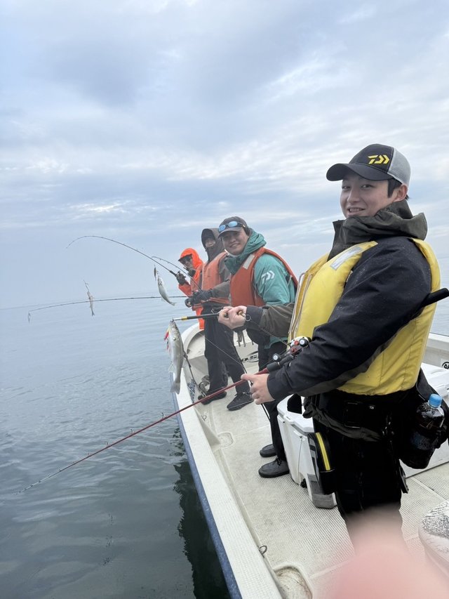 シーバス(スズキ)